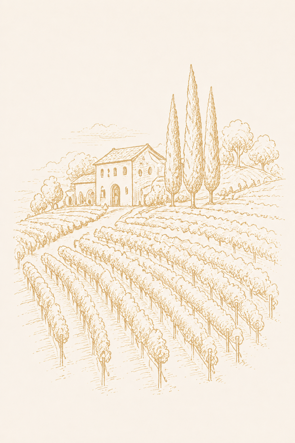 Vineyard